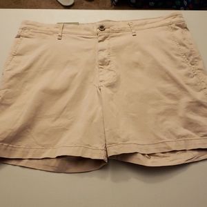 Goodfellow & Co‎ Peach Flat Front Shorts